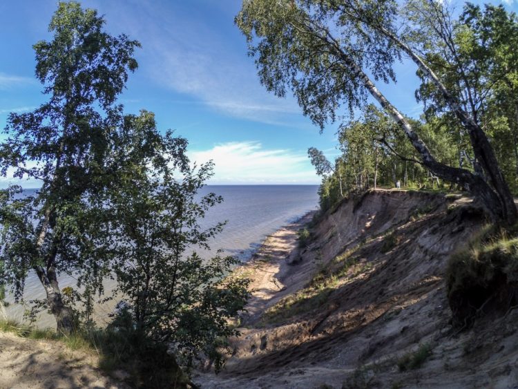 The shore of the Gulf of Finland near the Krasnaya Gorka