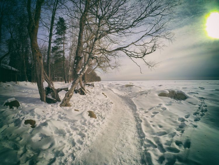 Комарово - Финский залив зимой