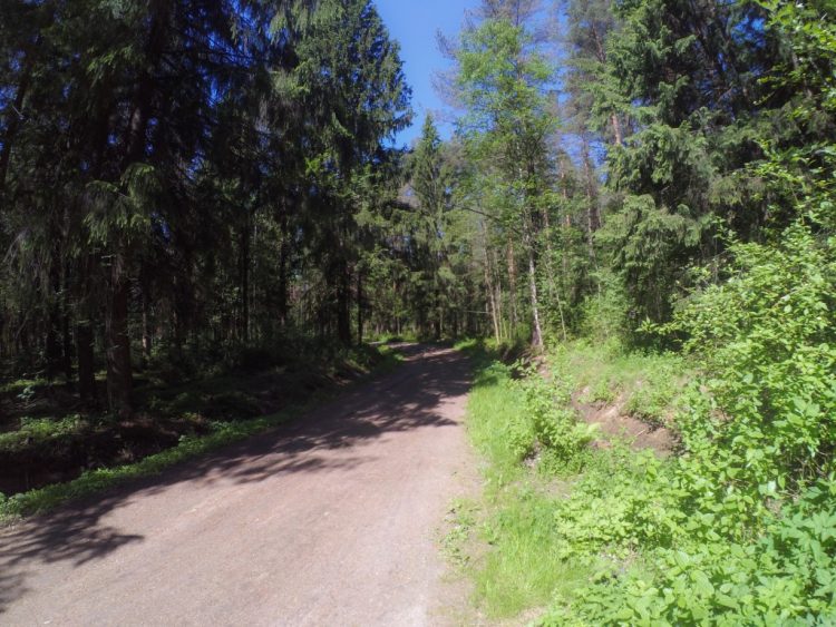 Lenin's trail - Tarkhovka - Dibuny - cycle and hiking route