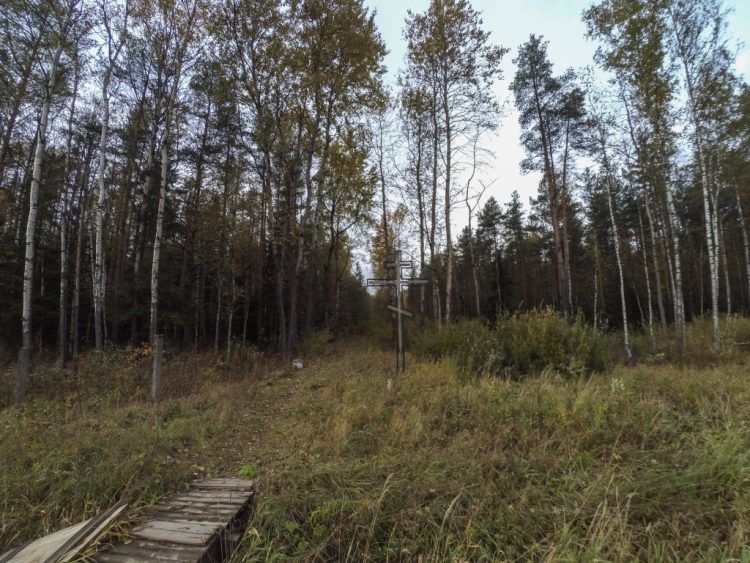 Захоронения в Ковалевском лесу