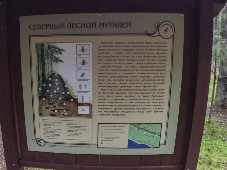 Комаровский берег - экологическая тропа 8683