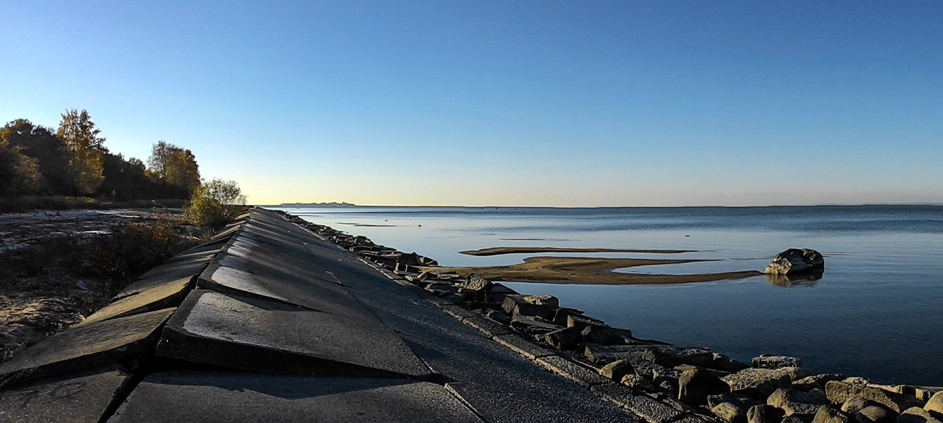 Вид на Финский залив в Дубках