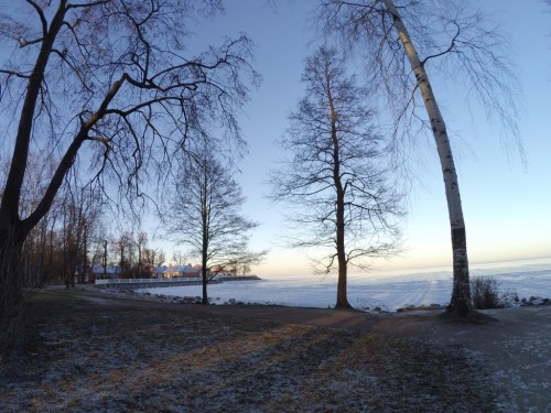 Winter time Petergof - Gulf of Finland