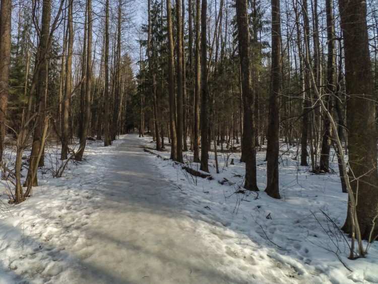 Shuvalovsky Park