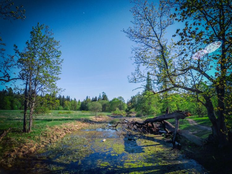 Vereva River