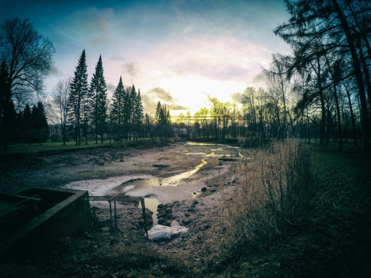 The Lower Park of Peterhof - 1 Jan 2017