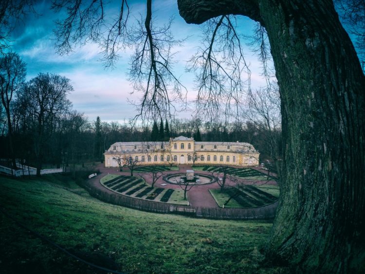 The Lower Park of Peterhof - 1 Jan 2017