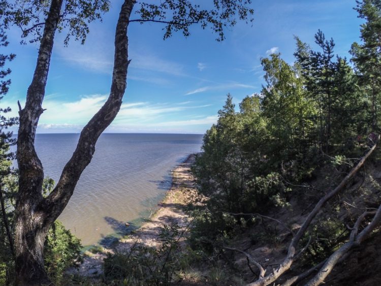 The shore of the Gulf of Finland near the Krasnaya Gorka