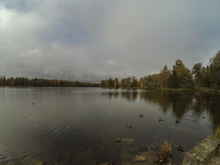 Autumn views of the Palace Park in Gatchina