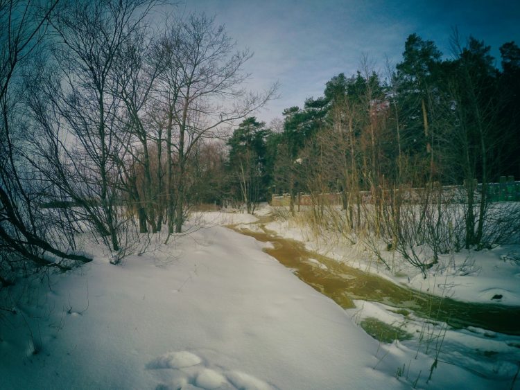 Комарово - Финский залив зимой